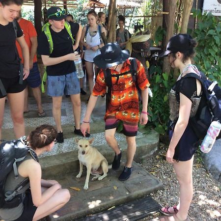 Khao Sok Homestay Resort Khao Sok National Park Экстерьер фото
