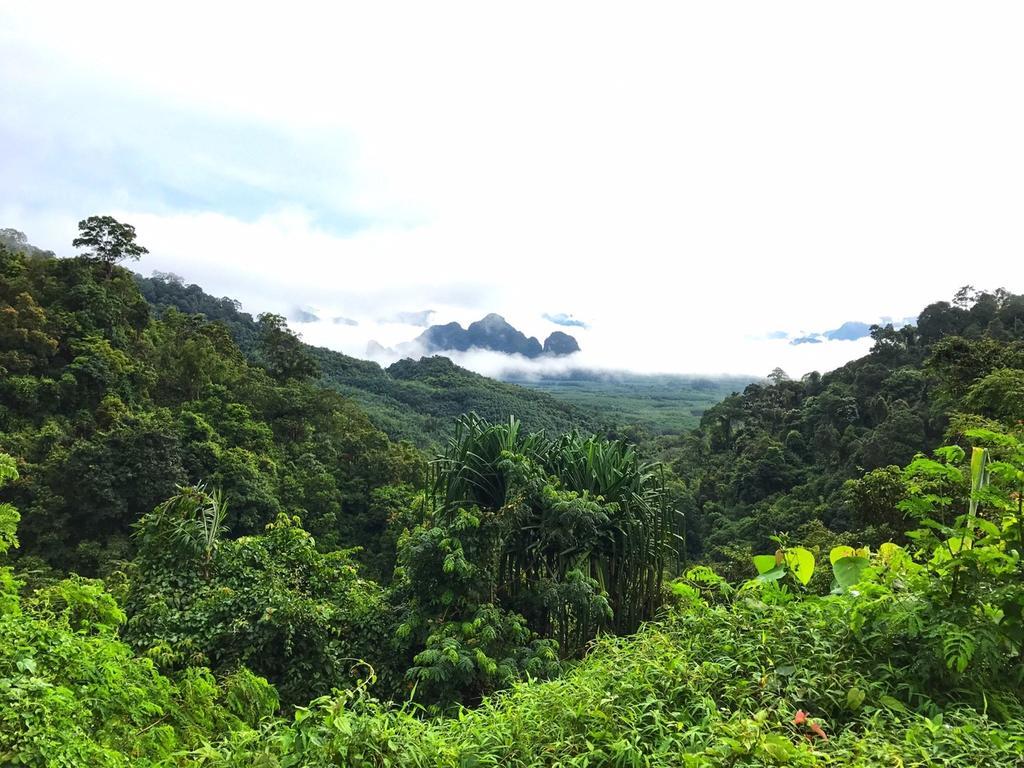 Khao Sok Homestay Resort Khao Sok National Park Экстерьер фото