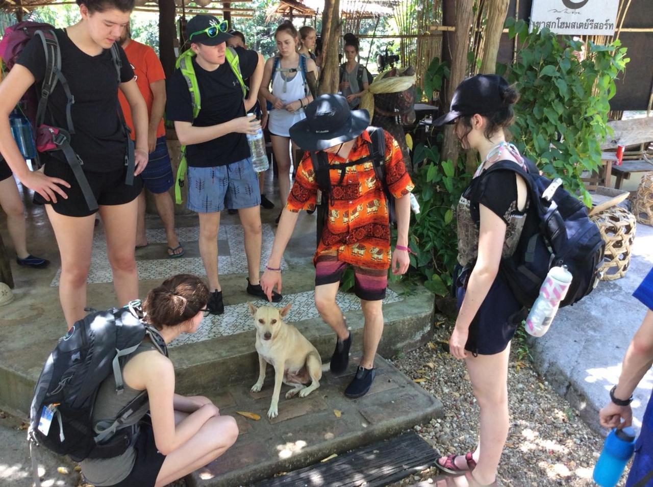 Khao Sok Homestay Resort Khao Sok National Park Экстерьер фото