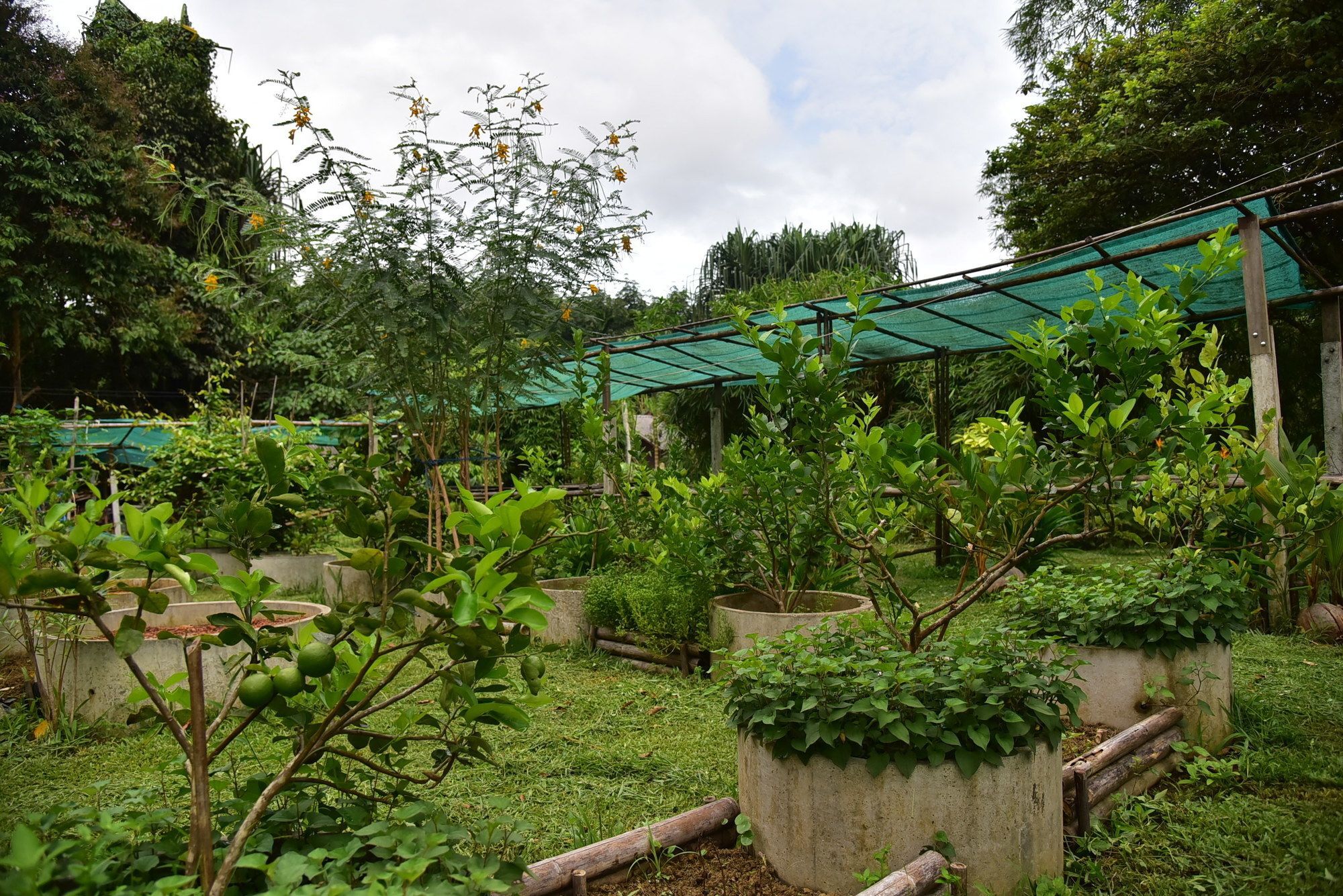 Khao Sok Homestay Resort Khao Sok National Park Экстерьер фото