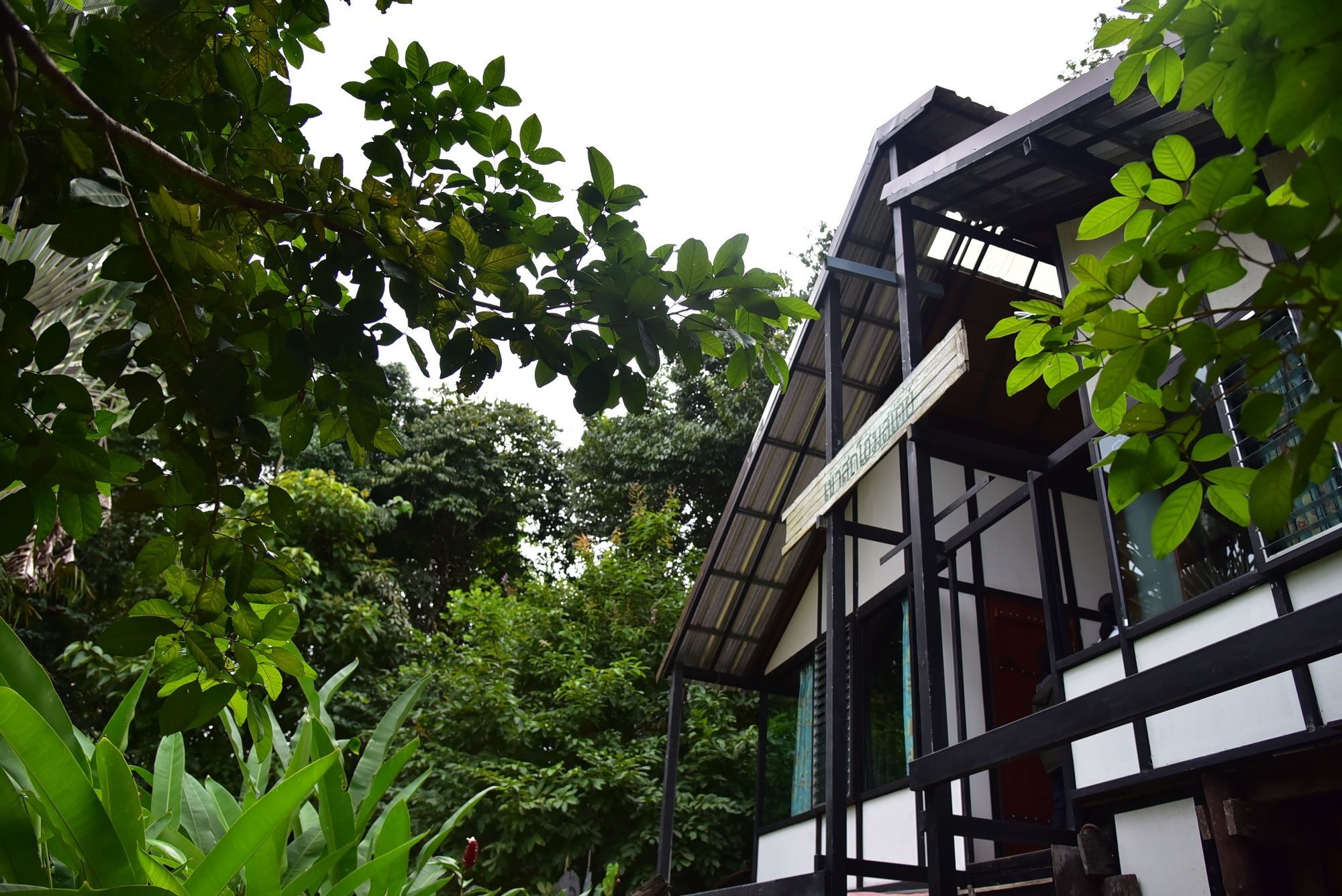 Khao Sok Homestay Resort Khao Sok National Park Экстерьер фото