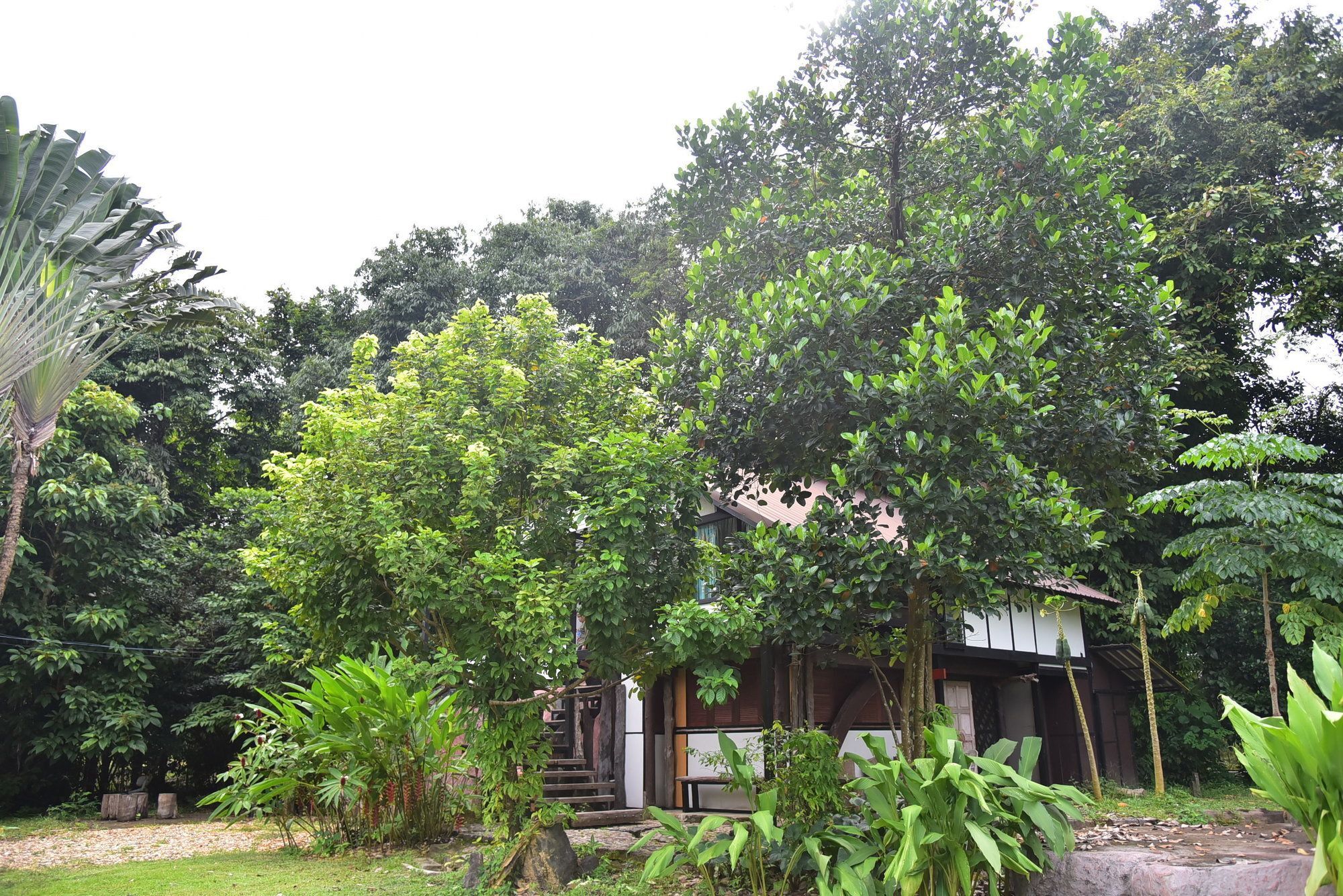 Khao Sok Homestay Resort Khao Sok National Park Экстерьер фото